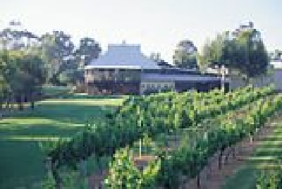 Weingut in toller Lage-SW Weingut.jpg